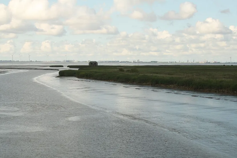 1280px nieuwe statenzijl 11 gezicht op de dollard met vogelkijkhut de kiekkaaste in de verte emden cc by sa 30 jaconed