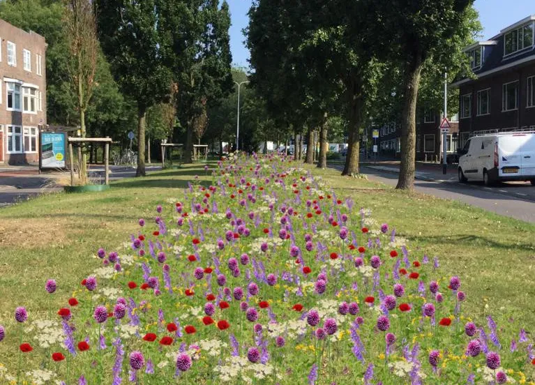 19 11 14 foto bijenlint 1