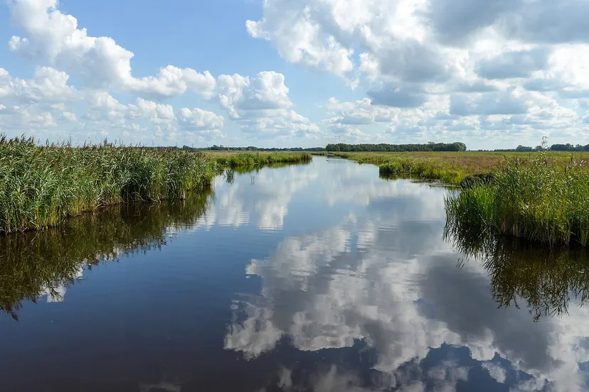 1920px 20140827 onlandsche wijk de onlanden dr nl de onlanden cc by sa 30 wikipedia commons wutsje