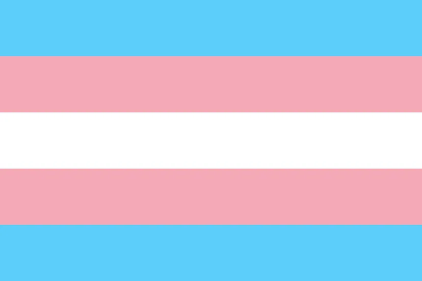 1920px transgender pride flagsvg publiek domein