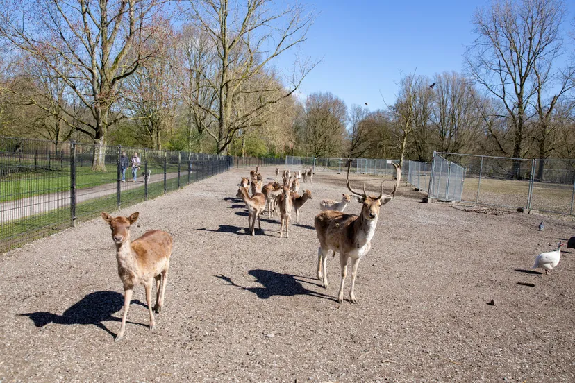 20 04 1 foto hertenkamp stadspark 1 henk tammens