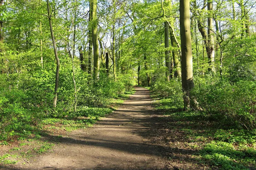 20140416 sterrebos hereweg groningen nl j cc by sa 30 wikipedia commons wutsje