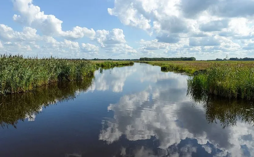 20140827 onlandsche wijk de onlanden dr nl onlanden wutsje wikimedia commons cc by sa 30
