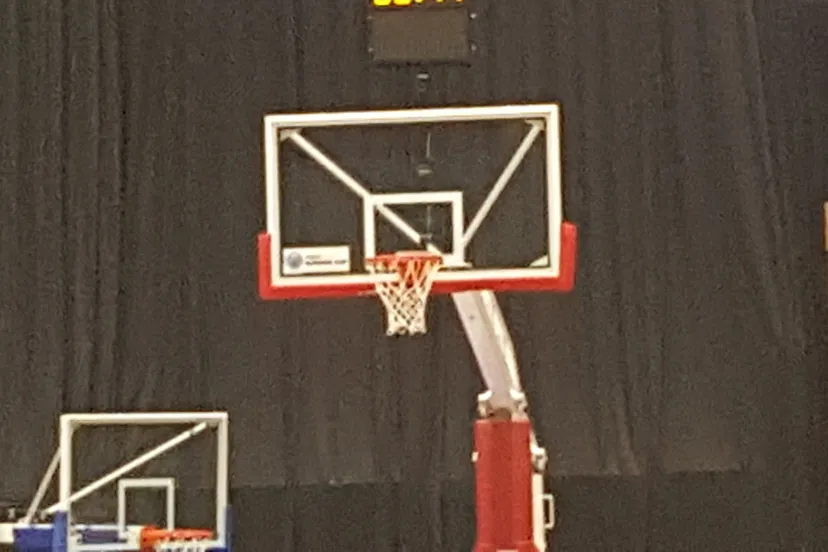 20160624 180952 basket e1539509051699