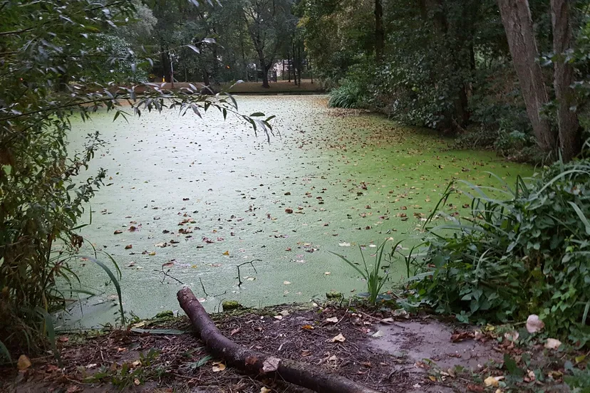 20160925 192514 resized