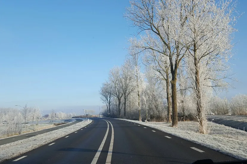 20161204 104445 resized