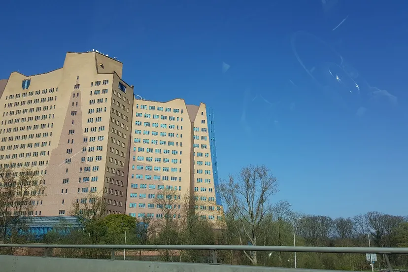 20170409 101007 resized