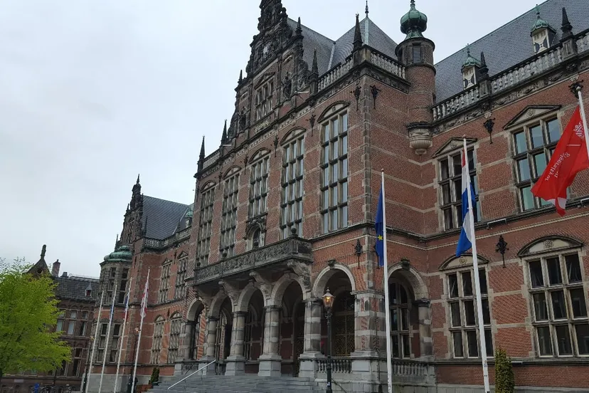 20170505 113750 resized 1 rug