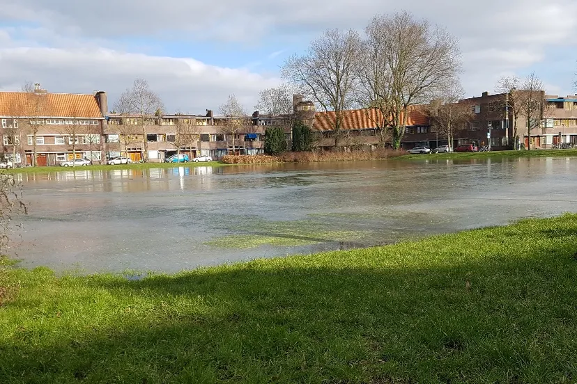 20180224 144236 resized