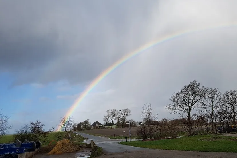 20190307 160322 resized