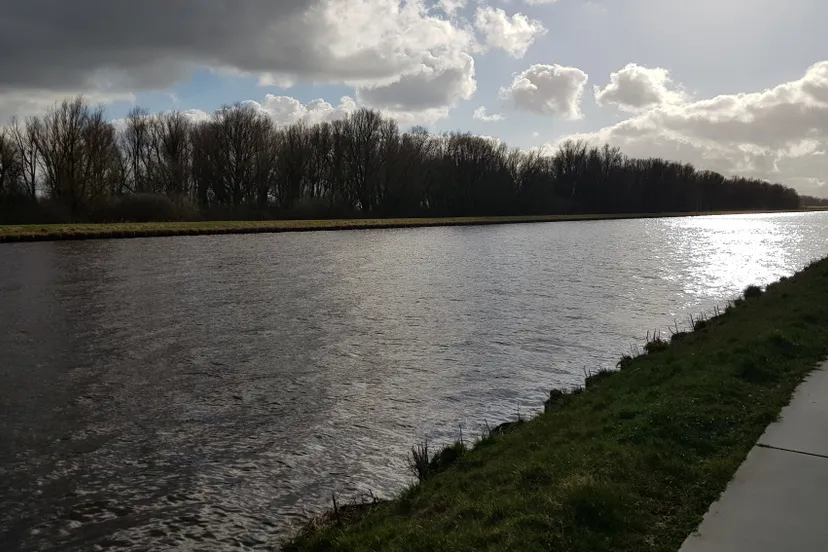 20210317 155935 driebondsbos stadspartij groningen