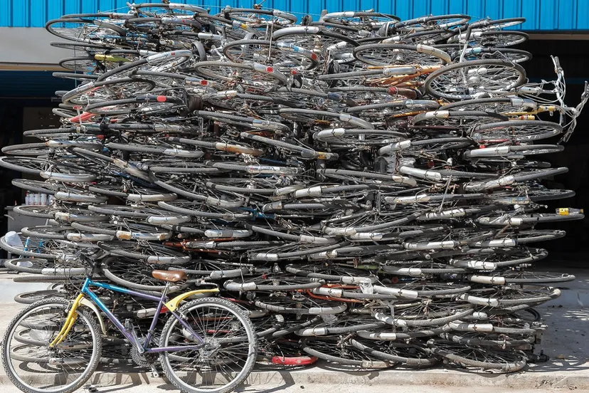 312152359 425793003062031 509584929726492934 n fietschallenge vismarkt