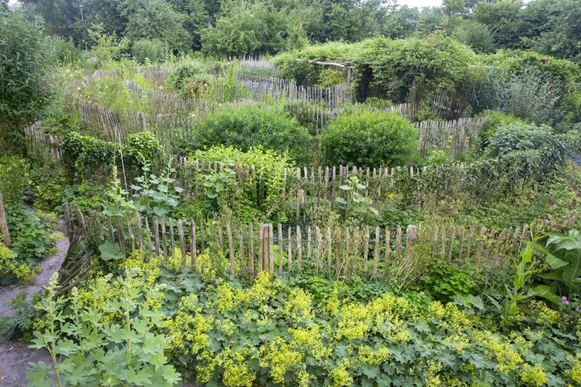 36137059 2103721993179577 6413802373969346560 n kinderwerktuin nde