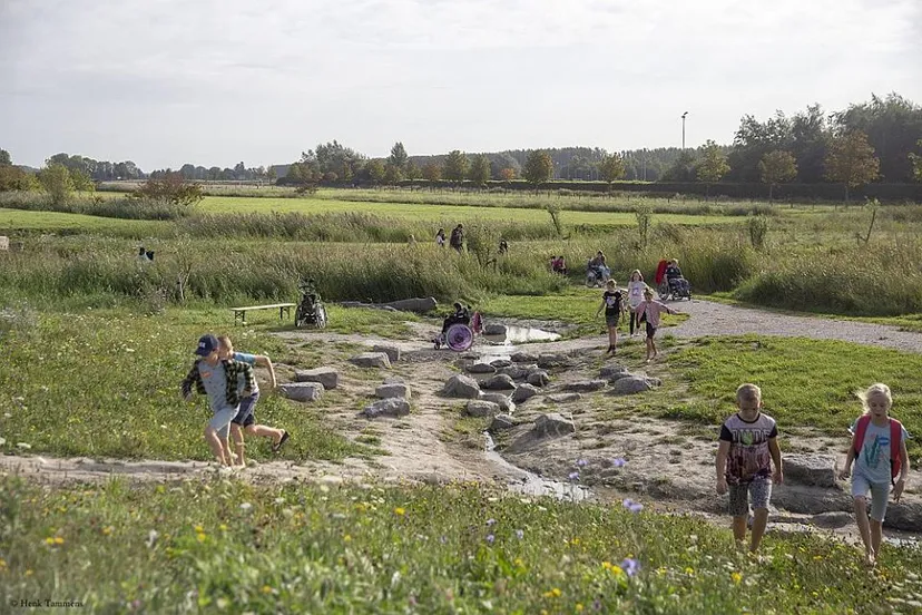 42189902 2179393812279061 4476673253326192640 n oerrr kardinge henk tammens