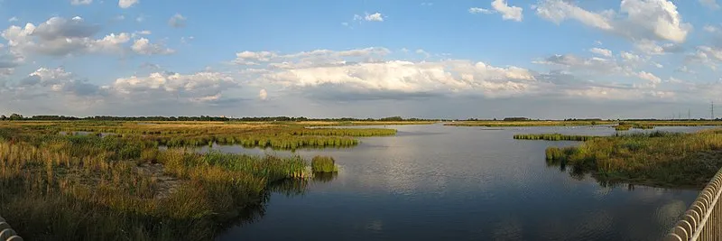 800px 20130804 natuurgebied de onlanden dr nl cc by sa 30 wutsje