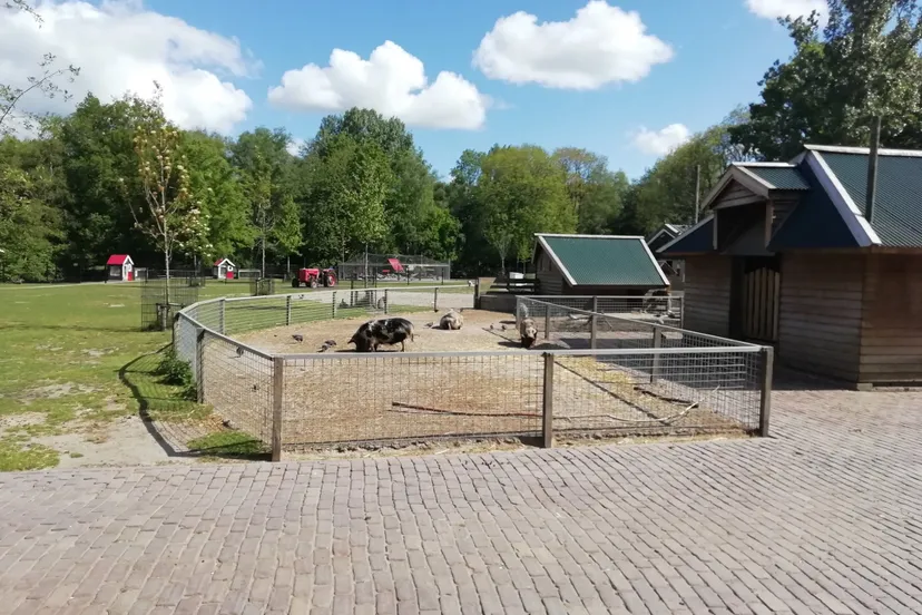 97519684 2601717826713322 7514595521202225152 o kinderboerderij stadspark