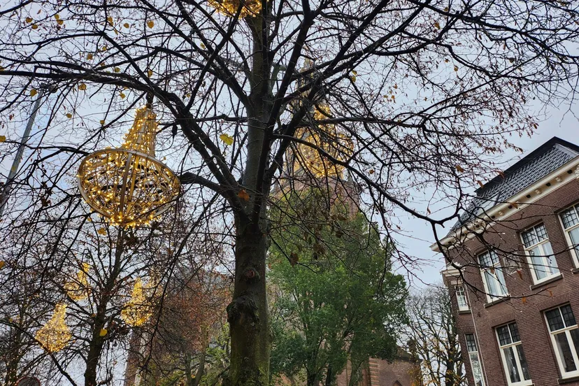 akerk herfst kerstverlichting