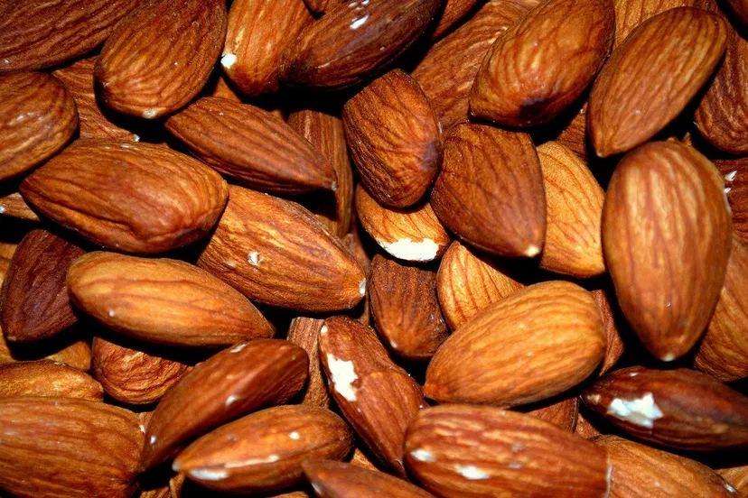 almond 83766 1280 amandelen publicdomainpictures via pixabay