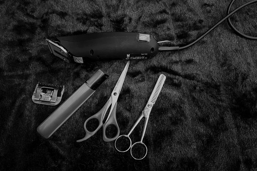 animals 1851535 960 720 kapper gerei schaar