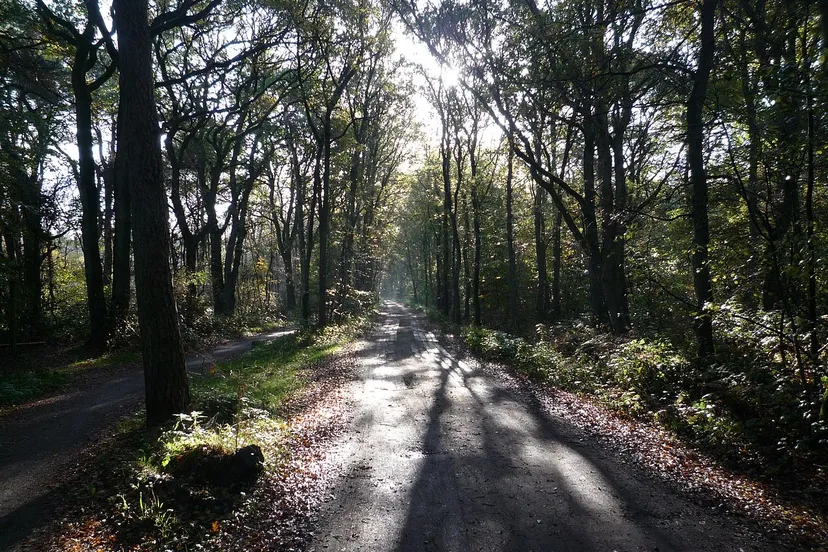 appelbergen pad cc by 20 wikipedia commons sjak kempe