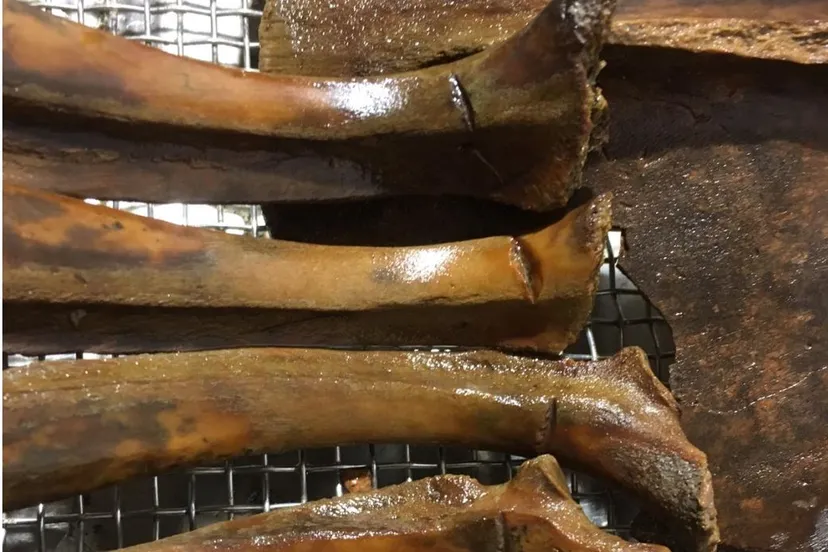 archeologische vondsten oude diepje