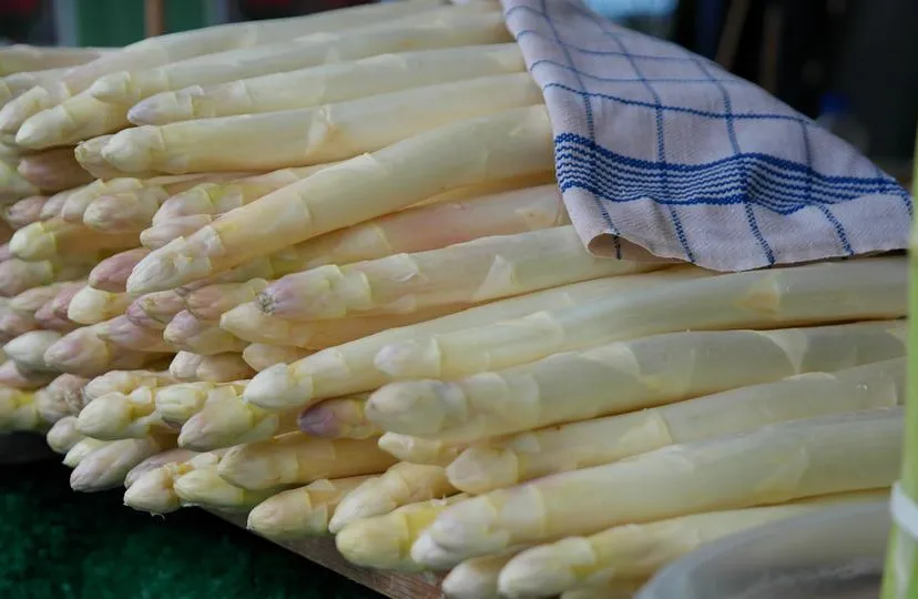 asparagus 823785 960 720 asperges