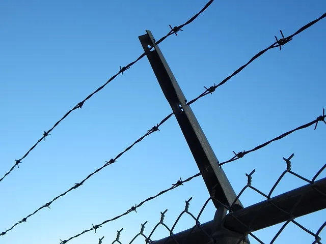 barbed wire 482608 640