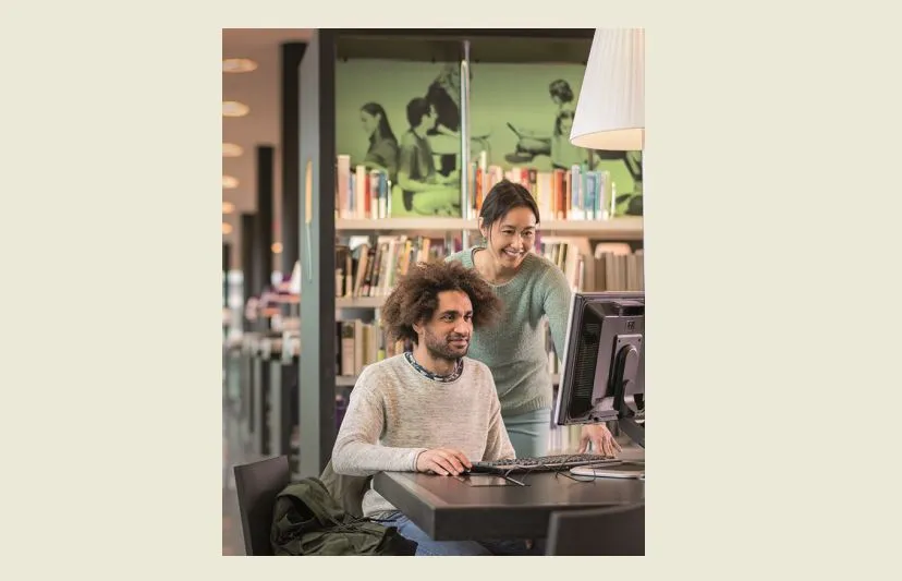 beeld flyer digisterker