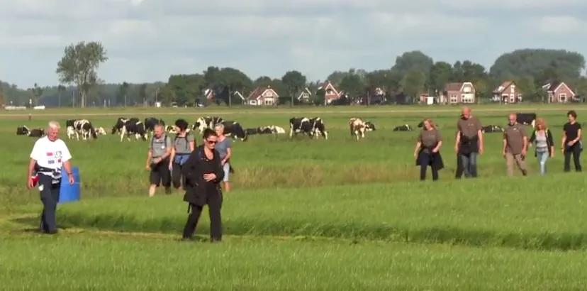 beeldcitaat anderevertoningen todn 2015