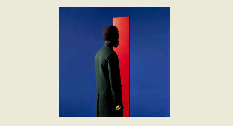 benjamin clementine knipsel digital