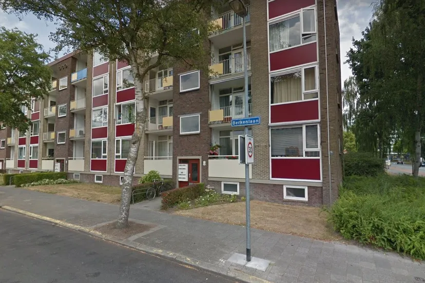 berkenlaan selwerd