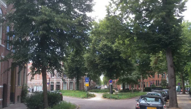 blekerplantsoen e1532802180320