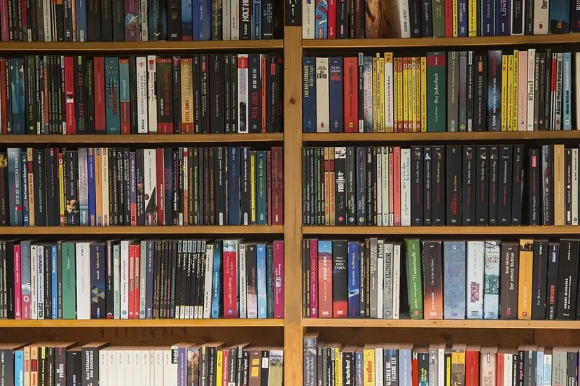 book 1696196 960 720 tweedehands boeken e1541157097482