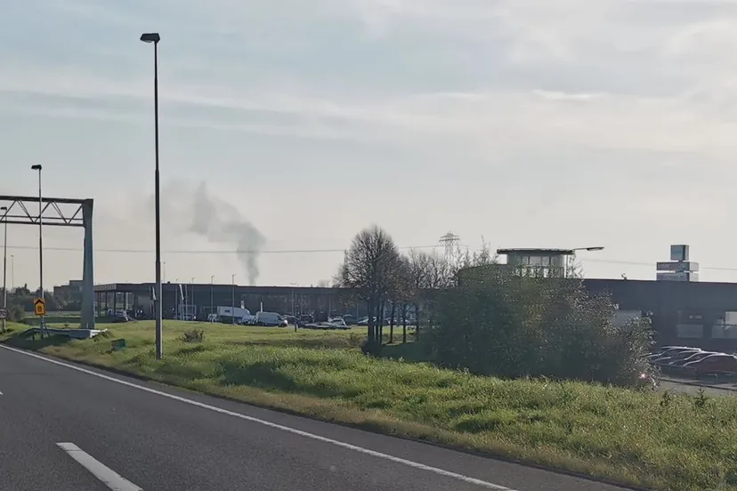 brand haren