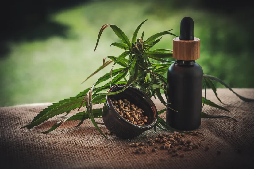 cbd 4474903 1920 julia teichmann via pixabay cannabis