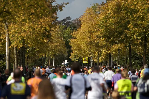 cc by 20 flickr creative commons michiel jelijs