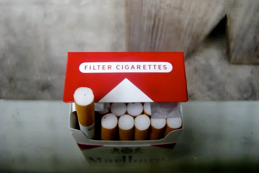 cc by 20 flickr melanie tata