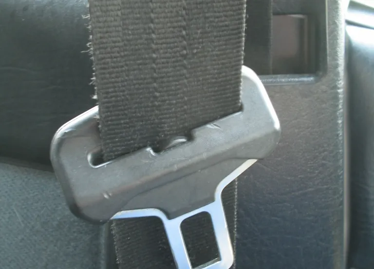 cc by sa 30 wikipediamichiel1972