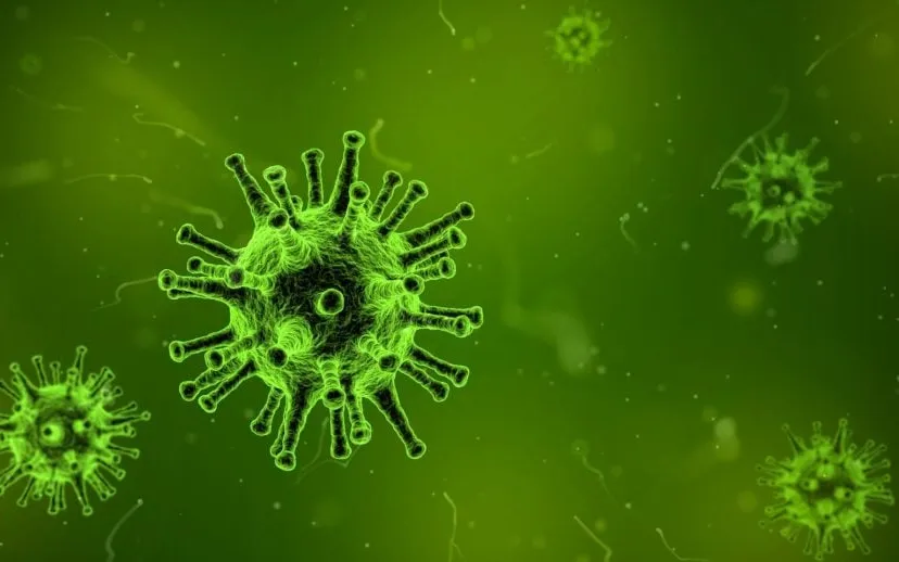 corona virus 1812092 1920 915x518 image by arek socha from pixabay1