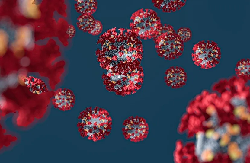 corona virus 4932576 960 720