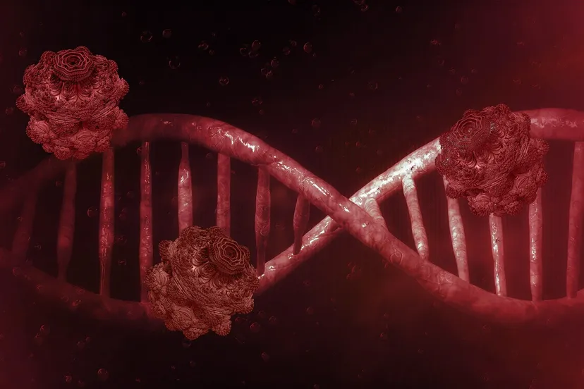 coronavirus 4876189 1920 1 afbeelding van pete linforth via pixabay