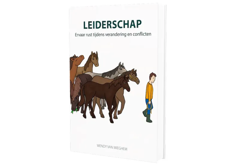 cover van het boek leiderschap psychologieboekeneu