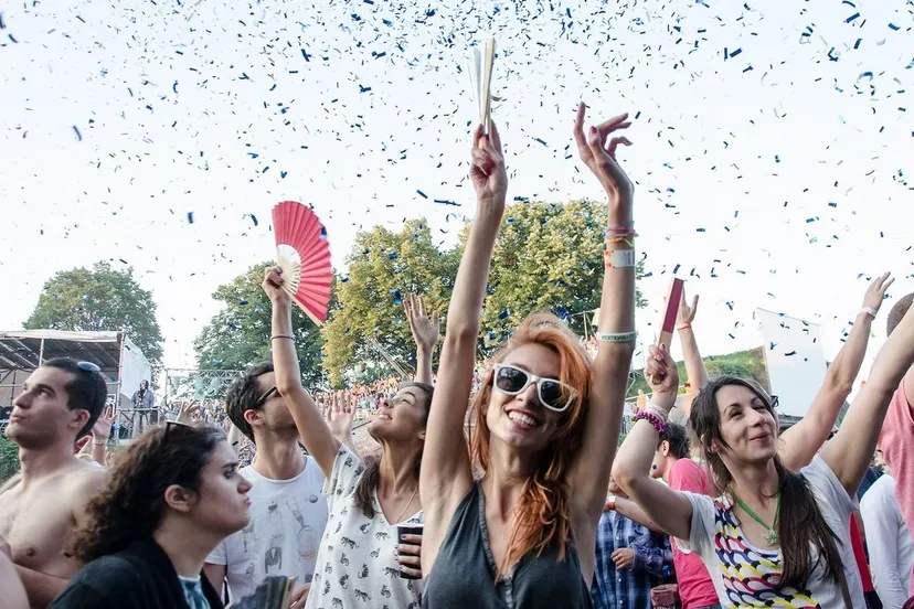 crowd at dance arena exit 2013 cc by sa 30 bernard bodo