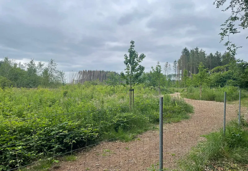 csm dorpsbos kolham 3 29f2fa5bdd