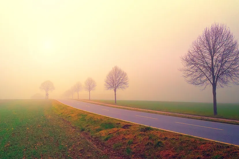 dawn gcc814b8ea 1920 mist jplenio via pixabay herfst