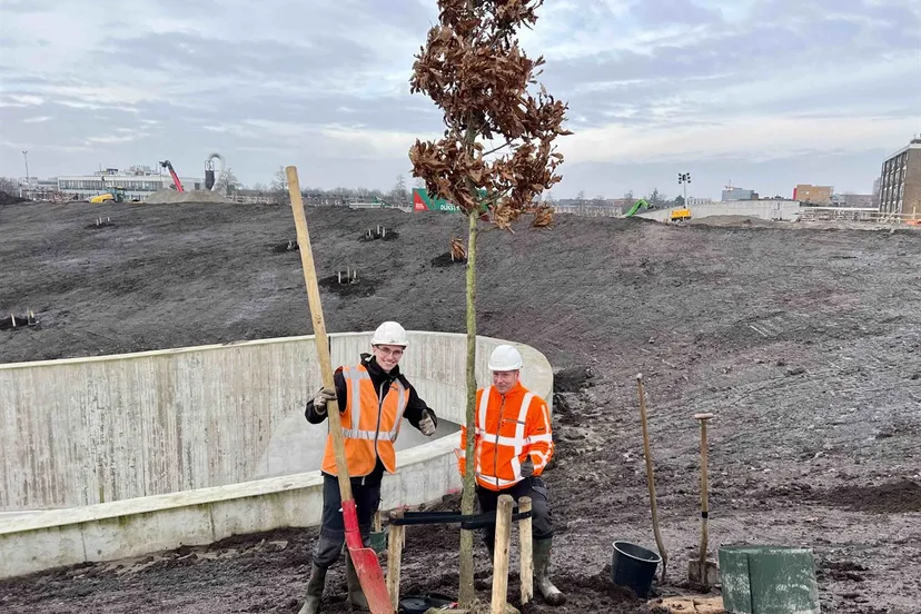 de eerste boom werd met een extra grote schop geplant foto aanpak ring zuid