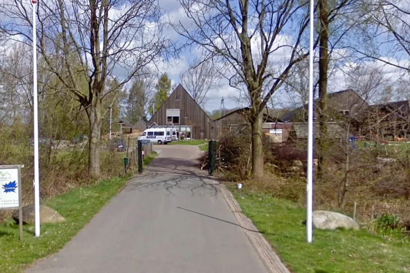 de mikkelhorst haren