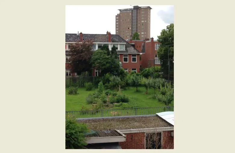 de ranketuin professor rankestraat en professor enno dirk wiersmastraat persfoto nmf