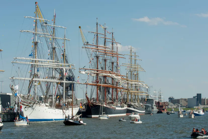 delfsail richard degenhart delfsail 2009