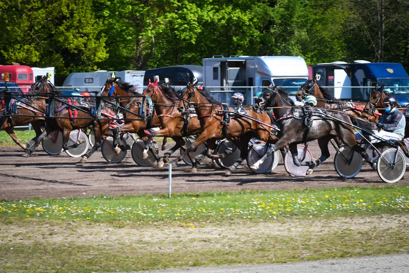 dsc 2942 khrv geert koops